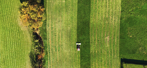 Rolnictwo i ogrodnictwo